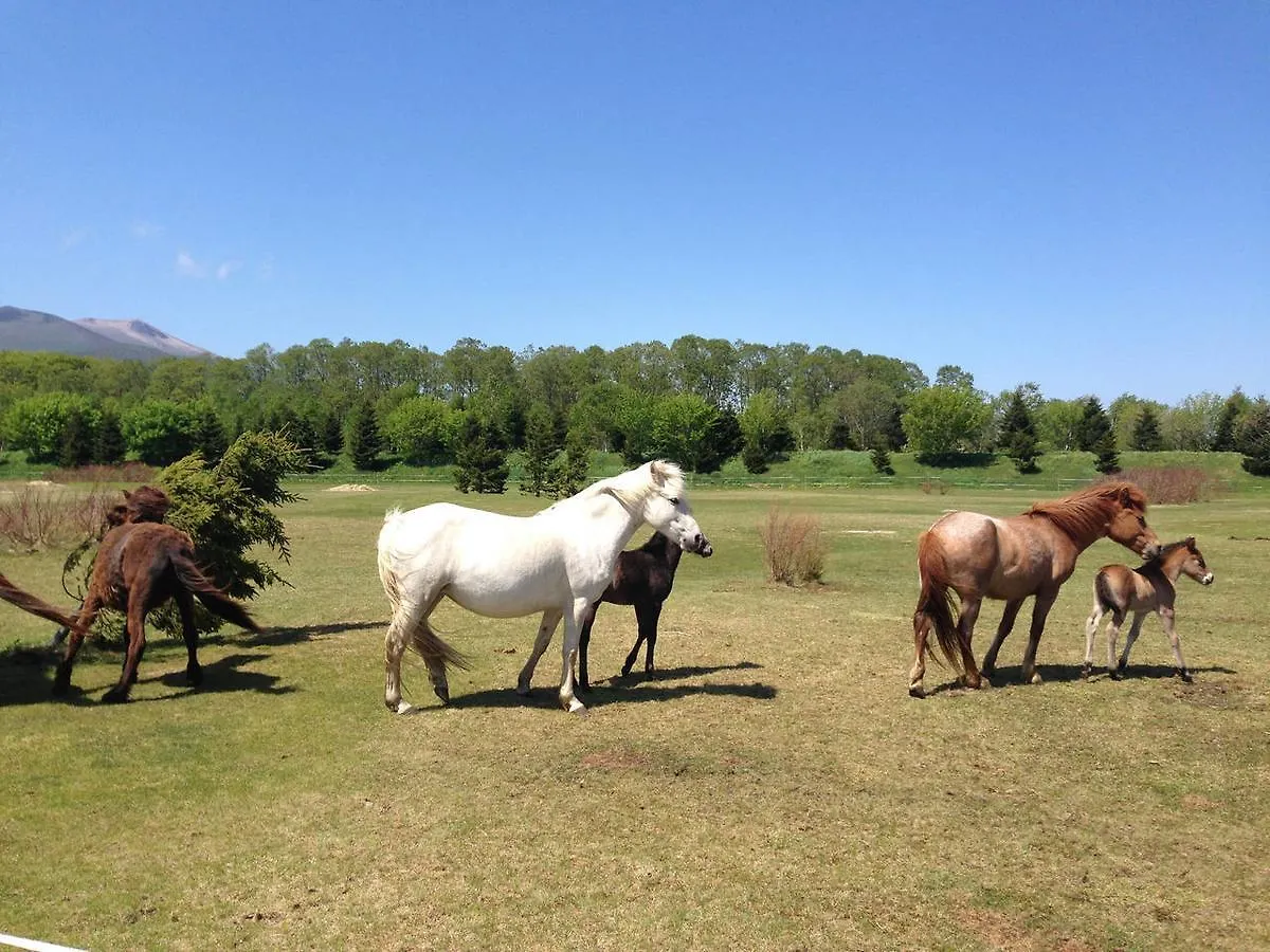 Paard Musee Guest House 七飯町 0*,  日本